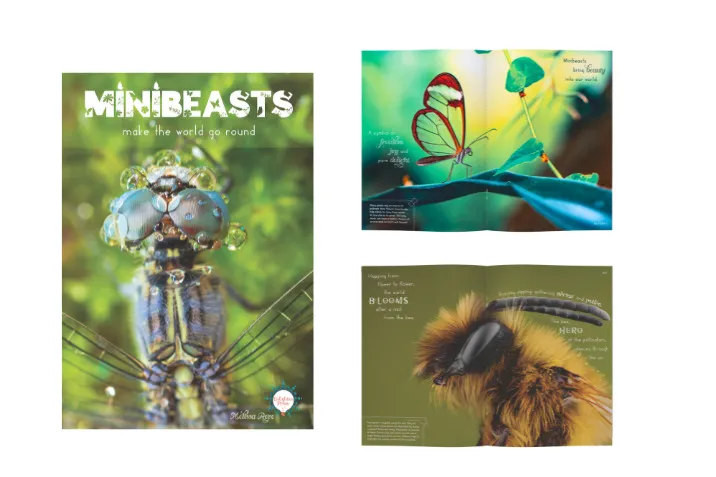 Minibeasts educational book featuring close-up macro photography of insects including a dragonfly, glasswing butterfly, and a bee, highlighting the vital role of insects in ecosystems.