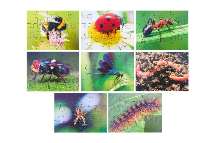 Minibeast-themed jigsaw puzzles featuring close-up photos of insects and invertebrates including a bumblebee, ladybug, ant, fly, dragonfly, earthworm, spider, and caterpillar—ideal for early years science learning and fine motor skills.