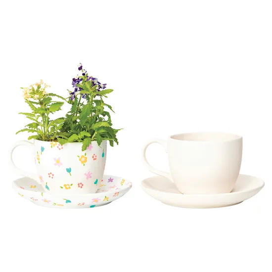 Creatistics Porcelain Teacup Planter - Pack of 12