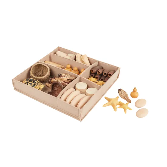 Nature's Geometry: Toddler Loose Parts STEM Kit