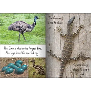 Australian Animals Big Book