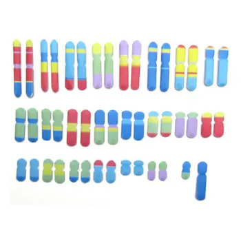 Chromosomes