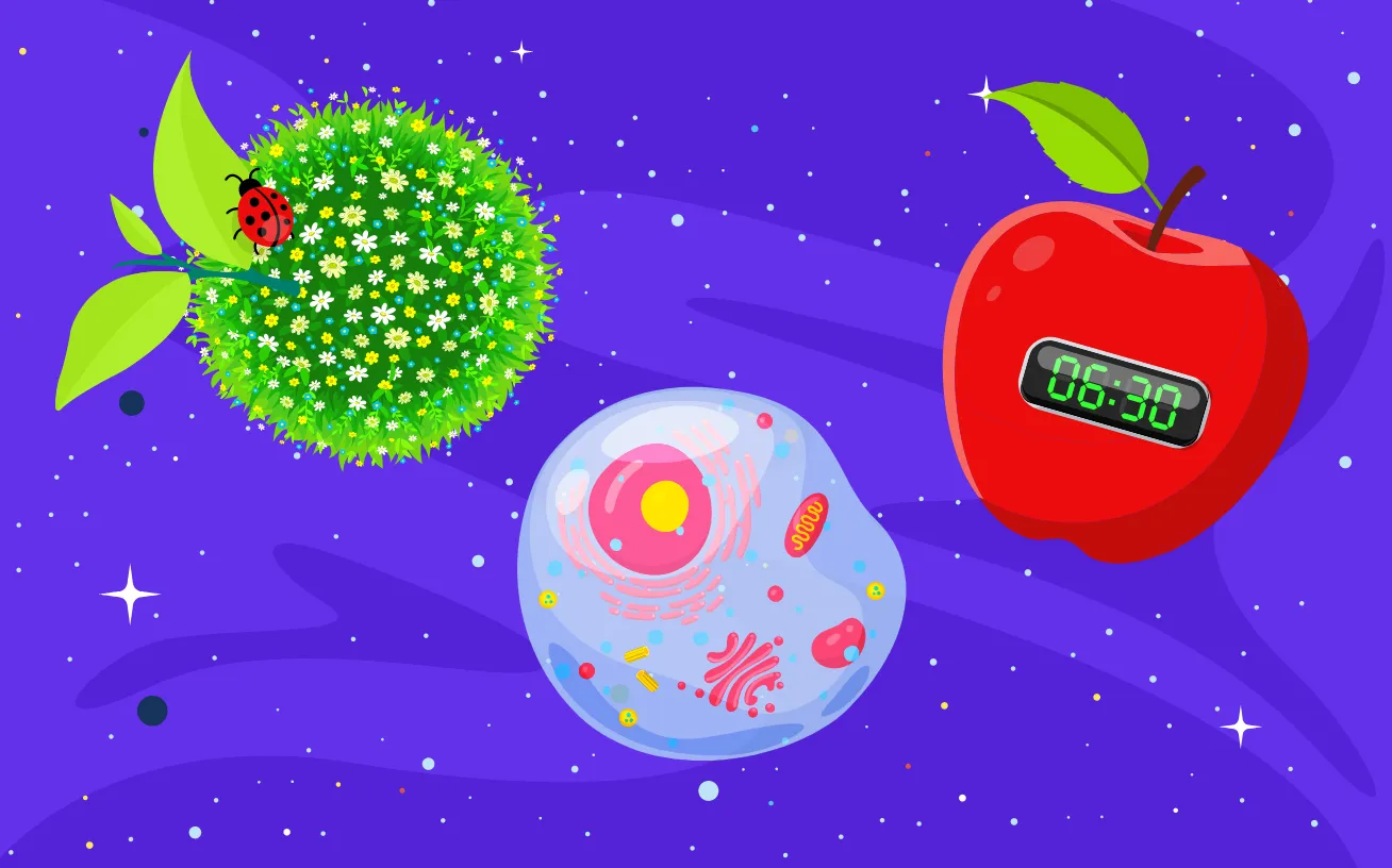 Decode your science lessons with hands-on, curriculum-aligned ideas and teaching tools to help you decode the universe with your students during Science Week and beyond.