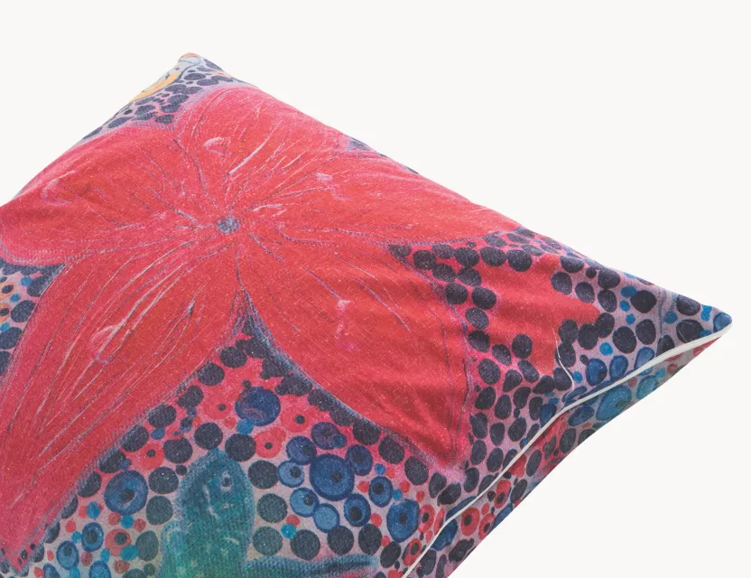 NAIDOC Week Modern Teaching Aids