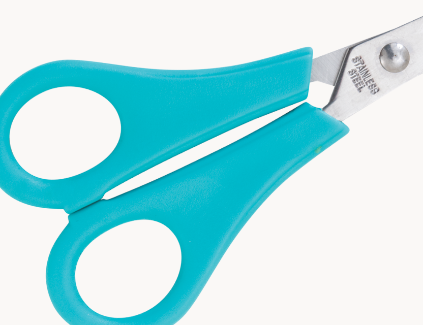 Back to School Essentials Modern Teaching Aids