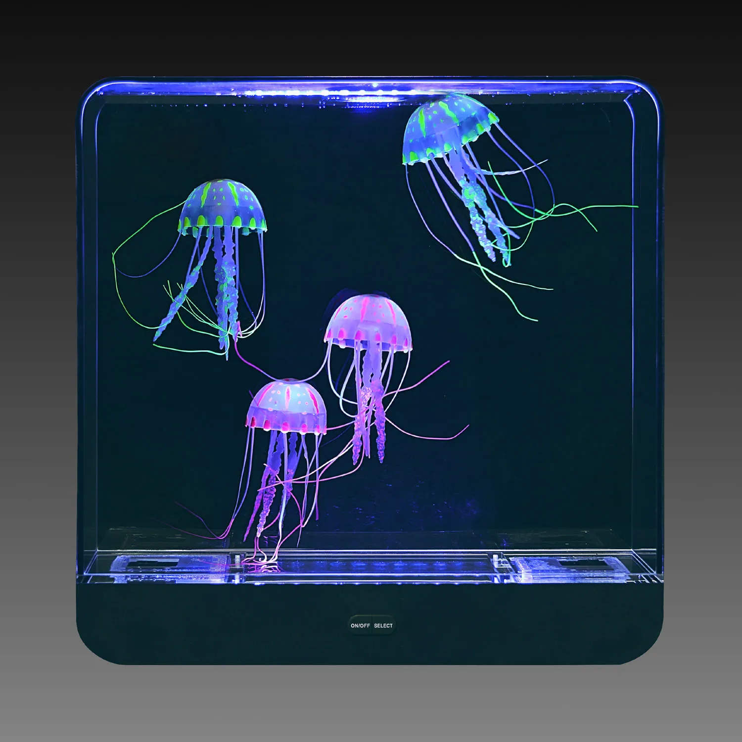 Jue Fish Glue Pen With Uv Light Giant Jelly Fish Tank Square