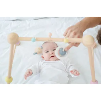 Plan toys baby gym online