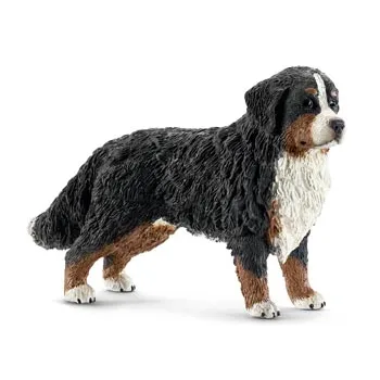 Bernese mountain dog online lego