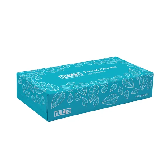 Facial Tissues 2Ply 100 Sheets