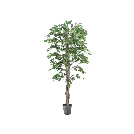 Artificial Ficus Plant - 180 cm