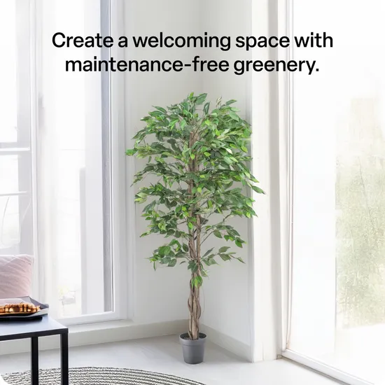 Artificial Ficus Plant - 180 cm