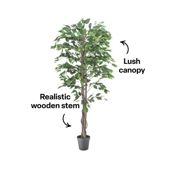Artificial Ficus Plant - 180 cm