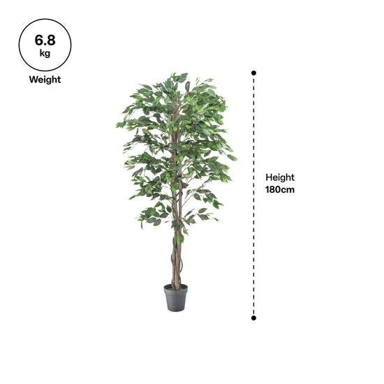 Artificial Ficus Plant - 180 cm