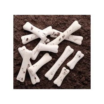 Dinosaur Bones Discovery Set of 12